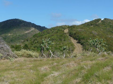 road-island-tour-jost-van-dyke