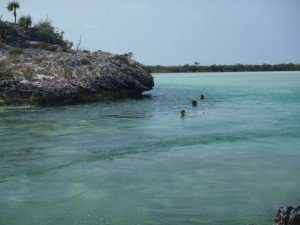 Our own "Lazy River" at the Mangrove Creek on Shroud Cay